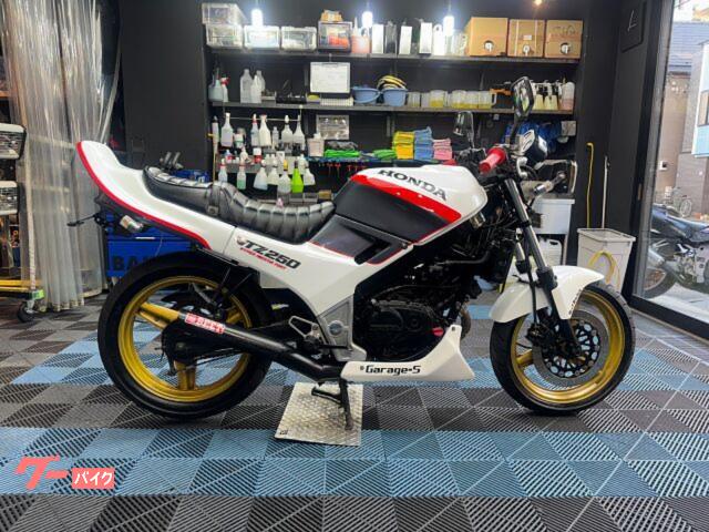 ＶＴＺ２５０　マフラー　オールペン　テールカウル　アンダーカウル　フェンダーレス　ＬＥＤヘッドライト　前後クリアウィンカー　電圧計