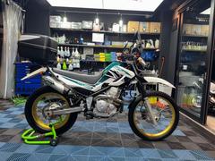 ヤマハ　セロー２５０　ＥＴＣ　カスタム多数　バレル４−Ｓサイレンサー　マルチウイングキャリア　ＧＩＶＩ　ボックス　パワービーム