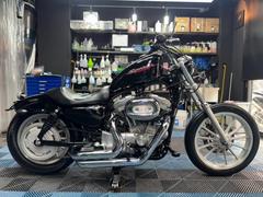 ＨＡＲＬＥＹ−ＤＡＶＩＤＳＯＮ　ＸＬ８８３Ｎ　アイアン　社外マフラー　ハンドル　ローダウンサスペンション　テールランプ　ウィンカー　サイドバッグ　ＵＳＢ