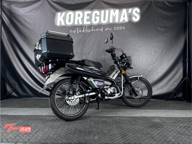 ホンダ CT125ハンターカブ ブラックマフラー フォグランプ