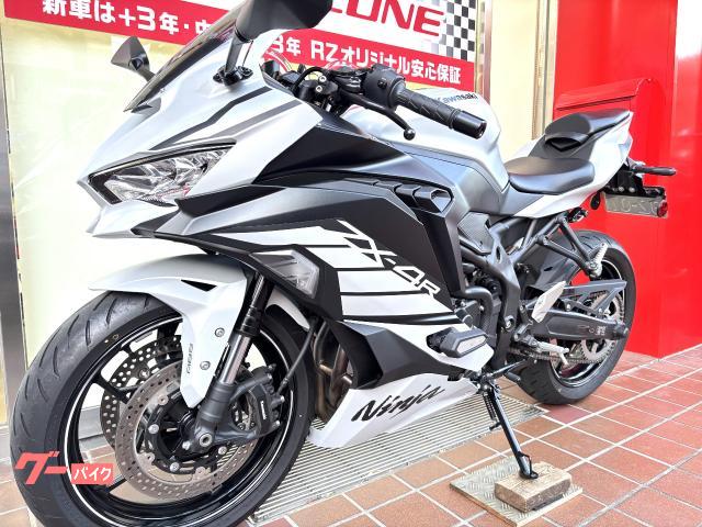 【別売り可能】1ペア オオムラサキ（四川省/中国） 国産オオクワガタ長野県産ペア販売│ビートルファーム