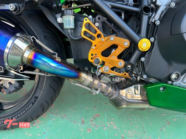ハイビスカス カワサキ Ninja H2 SX SE 左右純正パニア ビート