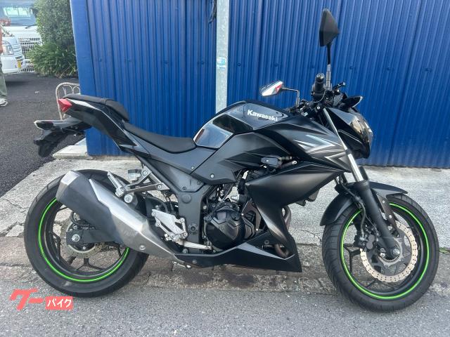Ｚ２５０　ＥＴＣ　ＡＢＳ　エンジンスライダー