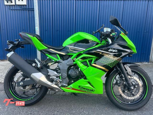 Ｎｉｎｊａ　２５０ＳＬ　ワンオーナー車輌　逆輸入