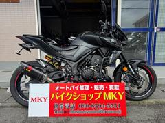 ヤマハ　ＭＴ−０３（３２０ｃｃ）　ＡＢＳ　アクラポマフラー　リアサス　ダンパー等カスタム多