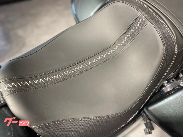 HARLEY-DAVIDSON FLTRX HD 117 12.3 200W 2025 — миниатюра 6