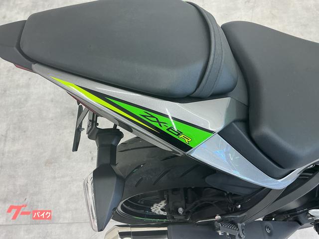 カワサキ Ninja ZX－6R フェンダーレス スクリーンカスタム