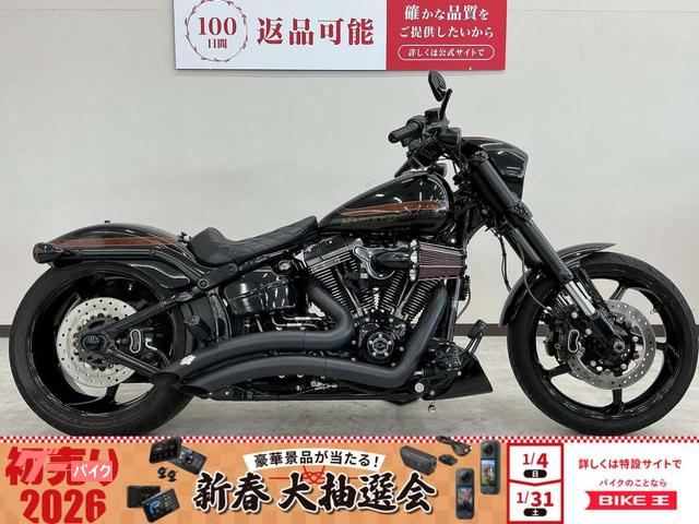 ＣＶＯ　ＦＸＳＥ　プロストリートブレイクアウト　バンスフルエキマフラー　社外シングルシート　サイドバッグ装備　カスタム多数
