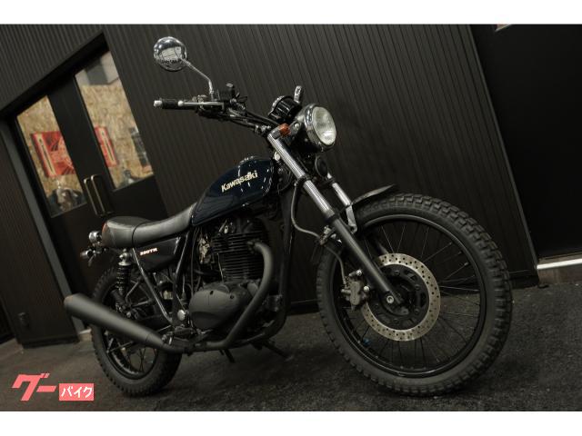 ２５０ＴＲ　ダートトラッカー