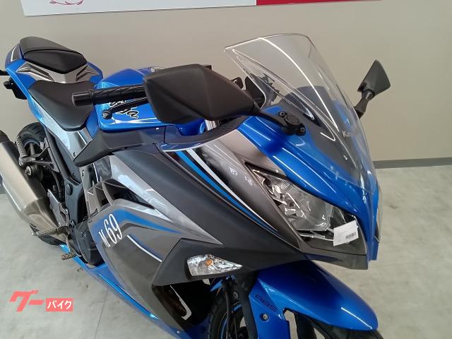 カワサキ Ninja 250 ABS スペシャルエディション フル