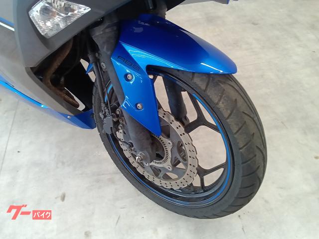 カワサキ Ninja 250 ABS スペシャルエディション フル