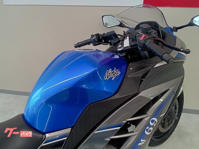 カワサキ Ninja 250 ABS スペシャルエディション フル