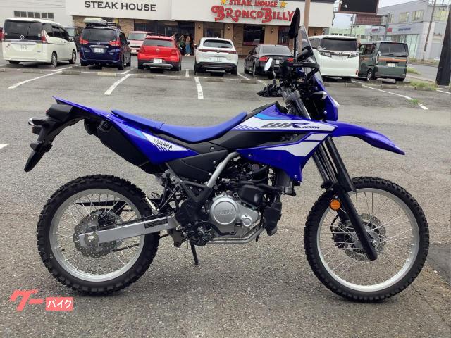 ＷＲ１２５Ｒ　ハンドガード　ウインドシールド　ＵＳＢポート　他カスタム多数　１オーナー車両