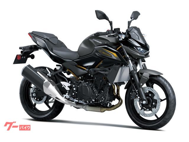 Ｚ５００