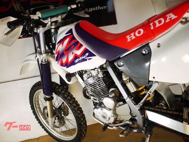 ホンダ ＸＲ２５０ ＭＤ３０ キャブレターモデル オリジナルコンディション｜ＪーＤＥＰＯＴ（ジェーデポ）｜新車・中古バイクなら【グーバイク】