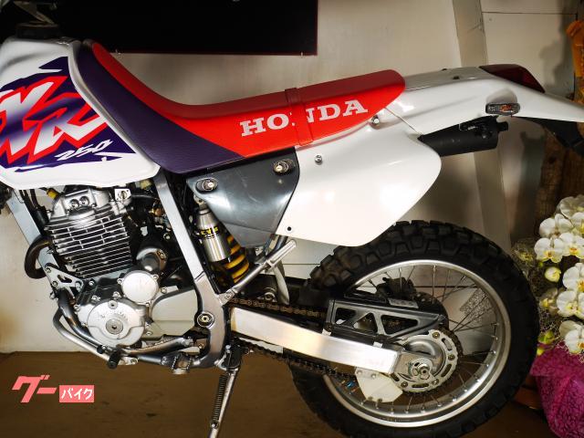 ホンダ ＸＲ２５０ ＭＤ３０ キャブレターモデル オリジナルコンディション｜ＪーＤＥＰＯＴ（ジェーデポ）｜新車・中古バイクなら【グーバイク】