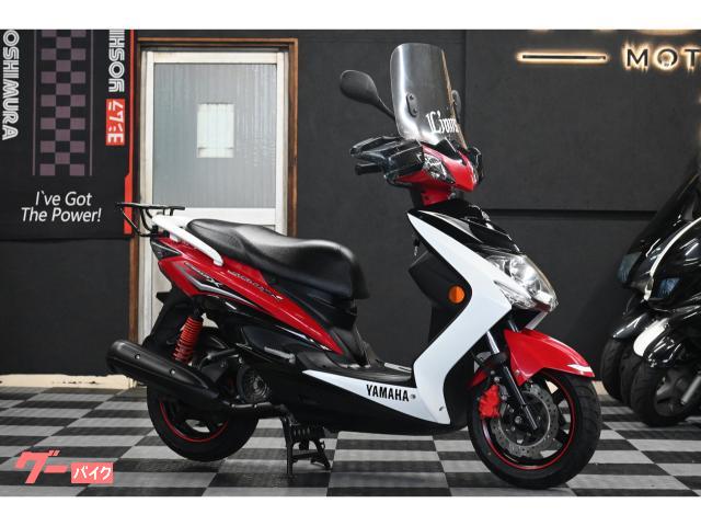 シグナスＸ　ＳＲ　３型　リアキャリア　スクリーン