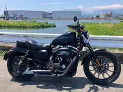 ＨＡＲＬＥＹ−ＤＡＶＩＤＳＯＮ　ＸＬ８８３Ｎ　アイアン