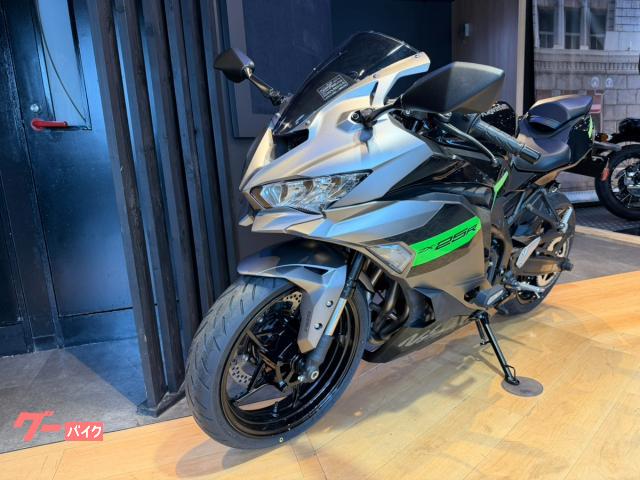 Ｎｉｎｊａ　ＺＸ−２５Ｒ　ＳＥ