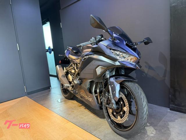 Ｎｉｎｊａ　ＺＸ−２５Ｒ　ＳＥ