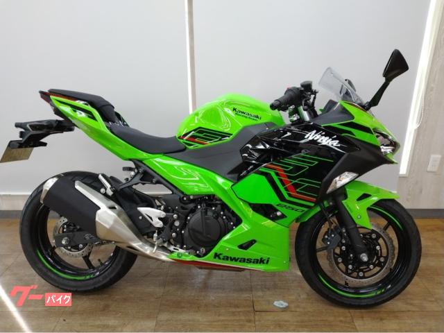 Ｎｉｎｊａ　２５０　ＫＲＴ　ＡＢＳ　スリッパークラッチ　２０２４年モデル　フルノーマル　自賠責保険付き