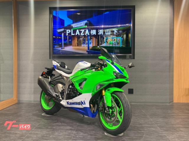 Ｎｉｎｊａ　ＺＸ−６Ｒ　４０ｔｈ