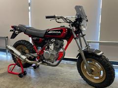 ホンダ　Ａｐｅ１００ＤＸ　タケガワＬＥＤメーター　マフラー　Ｒキャリア　ボックスあり