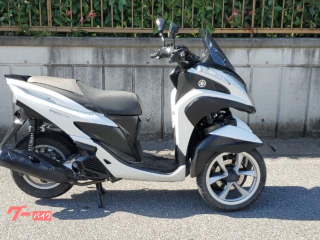 トリシティ