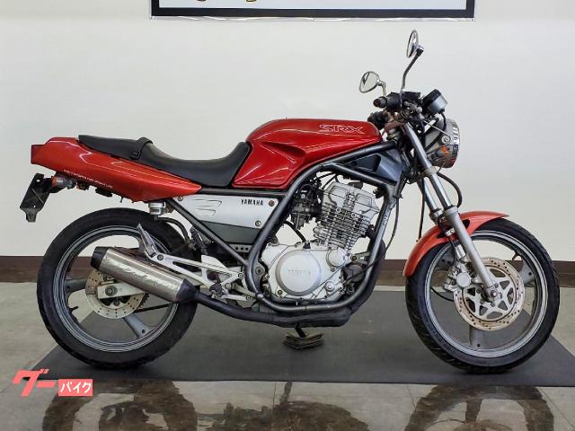 実動 YAMAHA SRX250 250cc バイク 中古 車体 栃木県 - ヤマハ