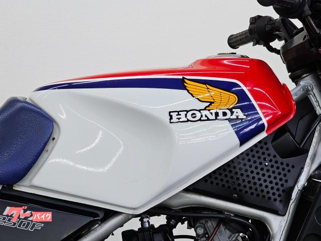 ホンダ ＭＶＸ２５０Ｆ ２サイクル ３気筒エンジン アンダーカウル インボードディスク 点検整備付き 自賠責保険１２か月 付き｜バイクディーラーカラーズ｜新車・中古バイクなら【グーバイク】