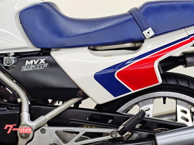 ホンダ ＭＶＸ２５０Ｆ ２サイクル ３気筒エンジン アンダーカウル インボードディスク 点検整備付き 自賠責保険１２か月 付き｜バイクディーラーカラーズ｜新車・中古バイクなら【グーバイク】