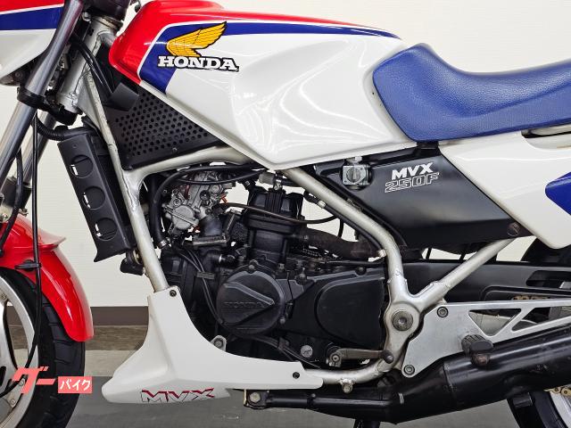 ホンダ ＭＶＸ２５０Ｆ ２サイクル ３気筒エンジン アンダーカウル インボードディスク 点検整備付き 自賠責保険１２か月 付き｜バイクディーラーカラーズ｜新車・中古バイクなら【グーバイク】