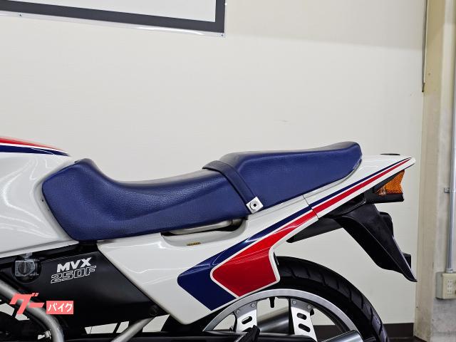 ホンダ ＭＶＸ２５０Ｆ ２サイクル ３気筒エンジン アンダーカウル インボードディスク 点検整備付き 自賠責保険１２か月 付き｜バイクディーラーカラーズ｜新車・中古バイクなら【グーバイク】