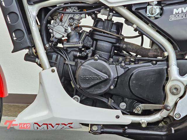 ホンダ ＭＶＸ２５０Ｆ ２サイクル ３気筒エンジン アンダーカウル インボードディスク 点検整備付き  自賠責保険１２か月付き｜バイクディーラーカラーズ｜新車・中古バイクなら【グーバイク】