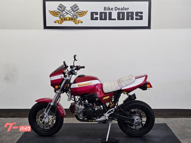 ＫＳＲ１１０　ボアアップ　ＦＣＲキャブレター　カスタム外装　ブレンボブレーキ　点検整備付き　自賠責保険１２か月付き