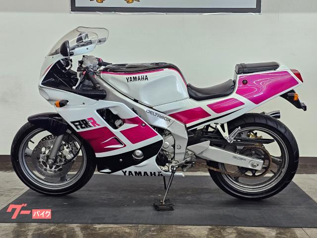 FZR250R 自賠5年付き 程度良好！ ヤマハ FZR250R 社外純正風カウル ノーマルマフラー 点検整備