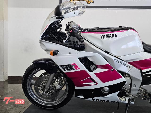 ヤマハ FZR250R 社外純正風カウル ノーマルマフラー 点検整備