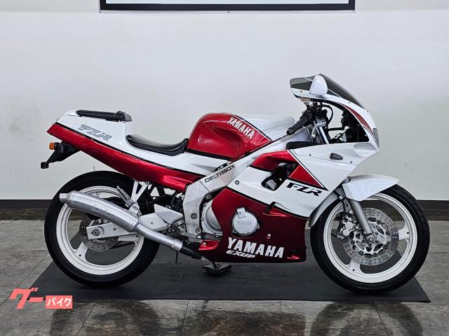 ヤマハ FZR250R 3LN型 ダイシンスリップオンマフラー 社外