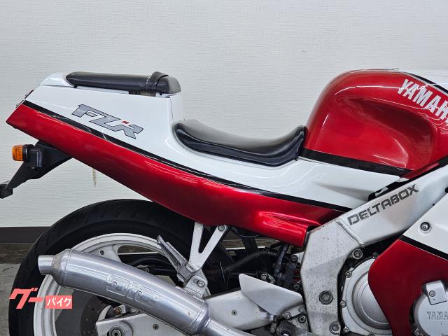 ヤマハ FZR250R 3LN型 ダイシンスリップオンマフラー 社外