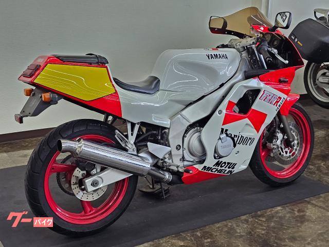 ヤマハ FZR250R 社外ワークスカラー風カウル 点検整備付き