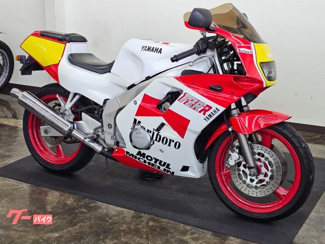 ヤマハ FZR250R 社外ワークスカラー風カウル 点検整備付き