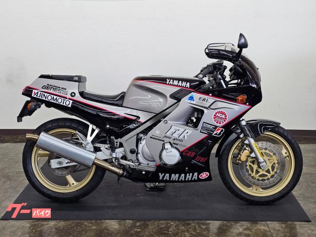 ヤマハ FZR250 ノーマル 高回転型エンジン EXUPマフラー
