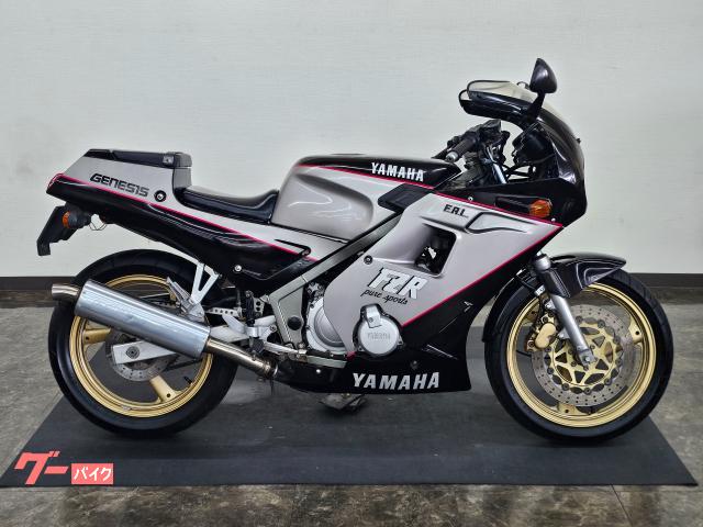 ヤマハ FZR250 ノーマル EXUP 点検整備付き 自賠責保険12