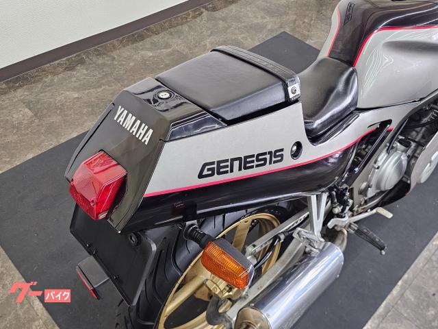 ヤマハ FZR250 ノーマル EXUP 点検整備付き 自賠責保険12