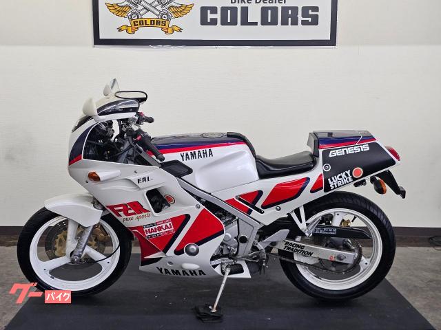 ＦＺＲ２５０　シングルシートカバー　ノーマルマフラー　点検整備付き　自賠責保険１２か月付帯