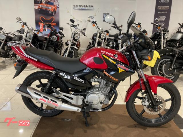 ＹＢＲ１２５　Ｅ３９９Ｅ　４ストロークエンジン　フューエルインジェクション　ウィンドウスクリーン　サイドスタンド　リアキャリア