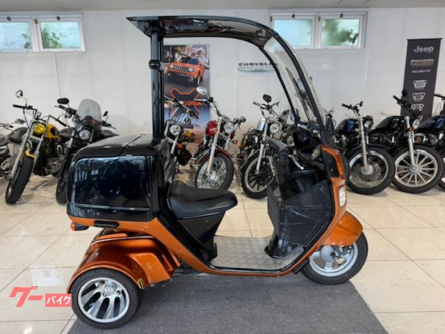 ジャイロキャノピー HONDA Gyrocanopy TA03 TA03E 4スト FI ミニカー登録車 カスタムホイール フード