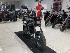 ストリートマジック５０(スズキ)のバイクを探すなら【グーバイク】