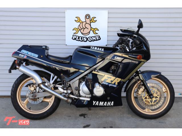 ＦＺＲ２５０　２ＫＲ　ＳＰ忠男　コブラマフラー　外装磨きコーティング　ホイール前後ＮＥＷペイント　フロントフォークＮＥＷペイント