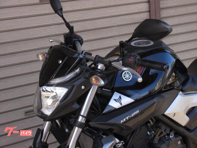 ヤマハ ＭＴ－２５ ＲＧ１０Ｊ ２０１６年モデル ノーマル １６０２８ｋｍ ストリートファイター系ネイキッド｜バイクオク  （ＢｉｋｅＯｋｕ）｜新車・中古バイクなら【グーバイク】